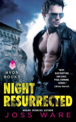 [Heroes of New Vegas 06] • Night Resurrected